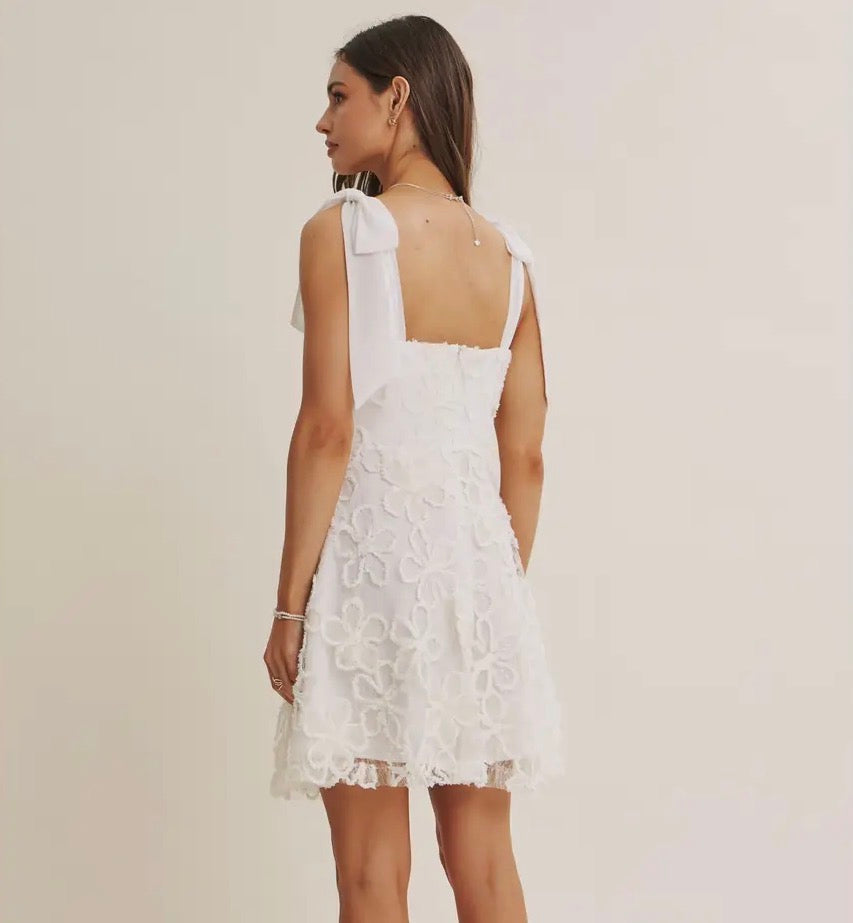 Lace Floral Embroidery Mini Dress