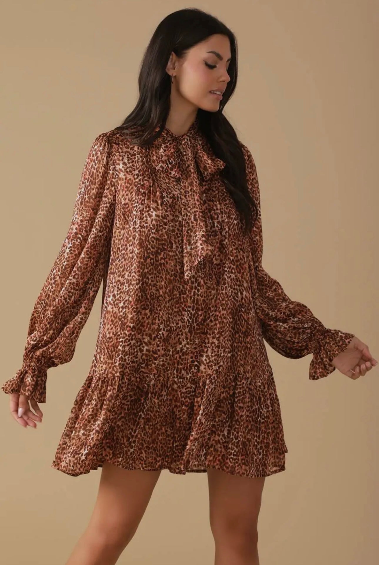 Animal Print Woven Mini Dress