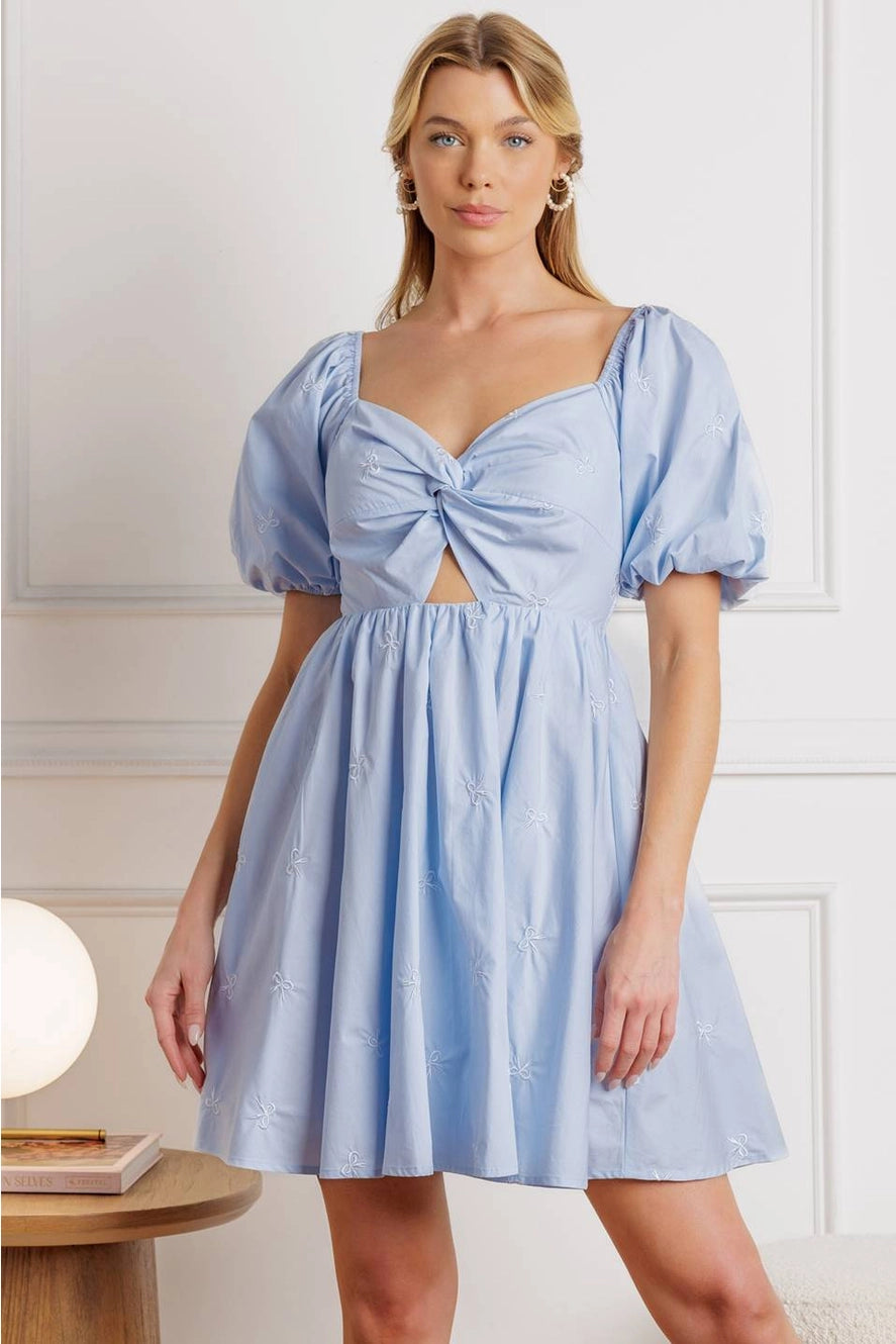 Bow Embroidered Woven Mini Dress