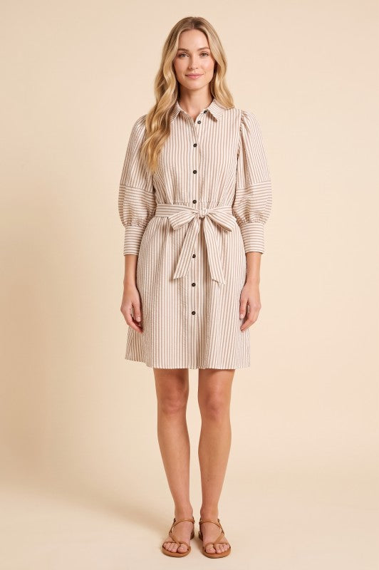 Puff Sleeve Striped Dress