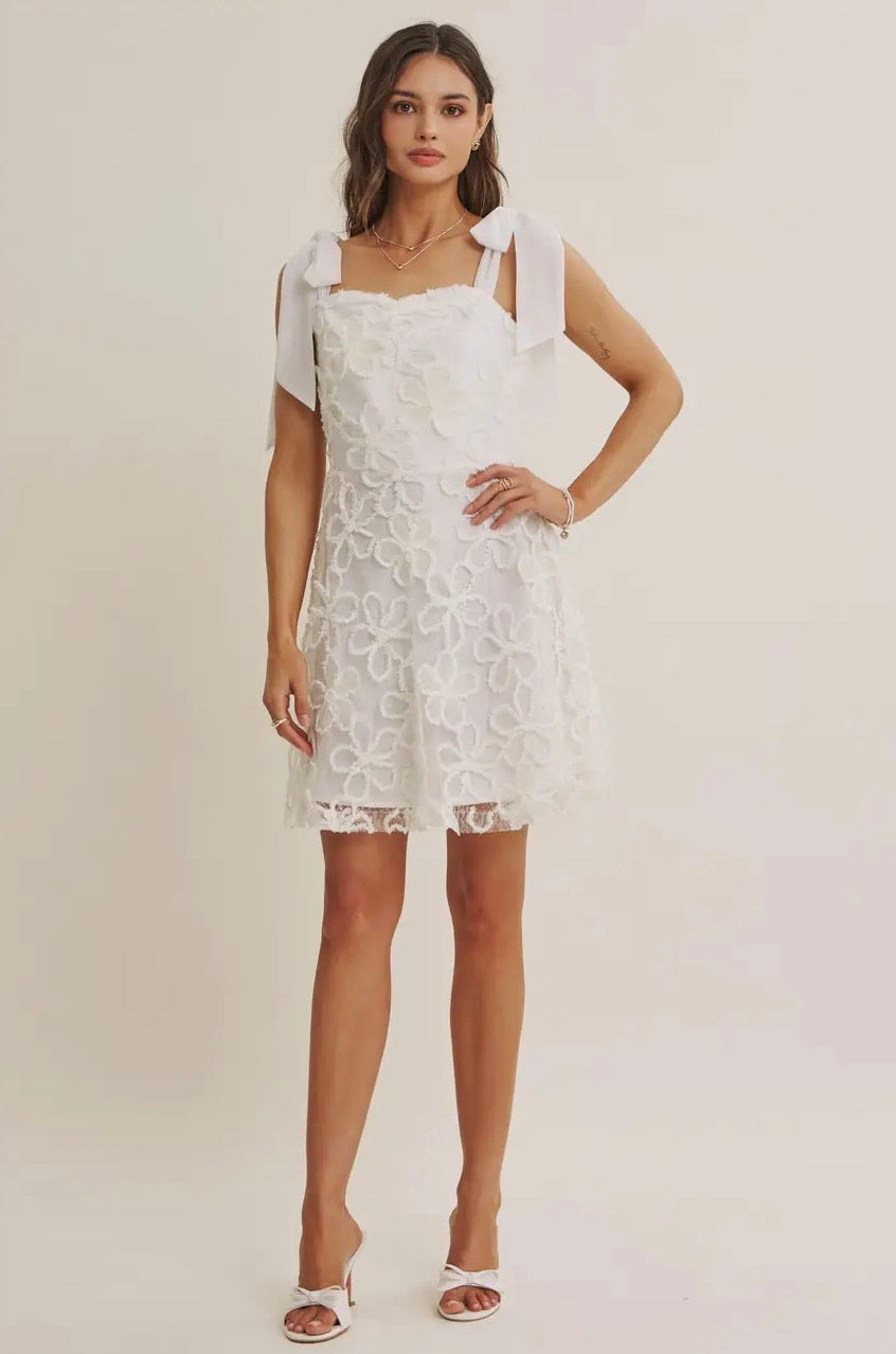 Lace Floral Embroidery Mini Dress