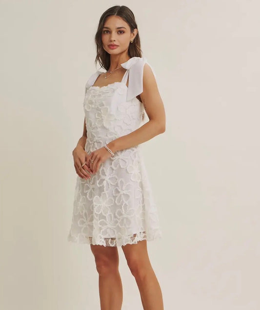 Lace Floral Embroidery Mini Dress