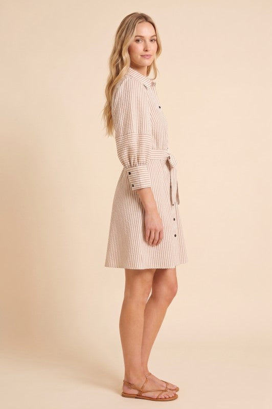 Puff Sleeve Striped Dress