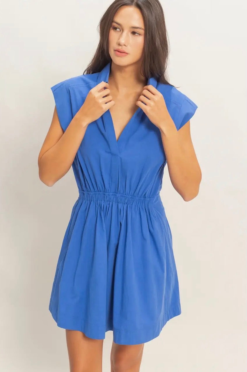 Sleeveless Collared Shirred Mini Dress