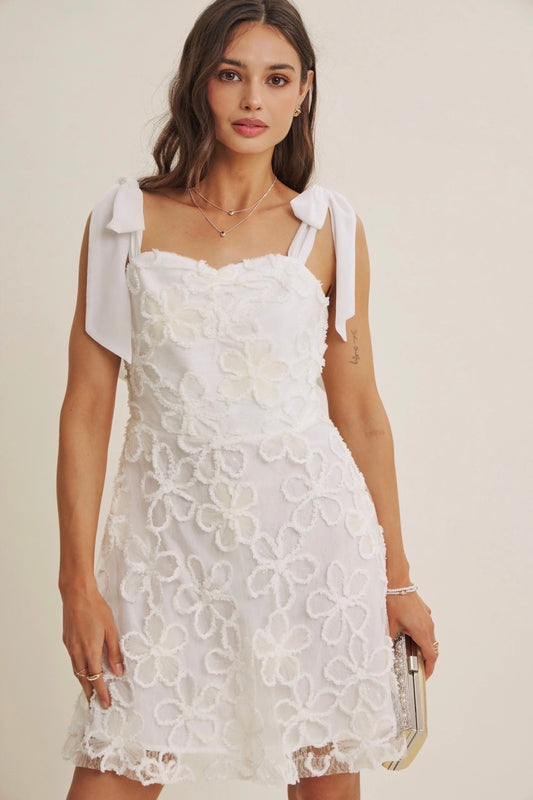 Lace Floral Embroidery Mini Dress