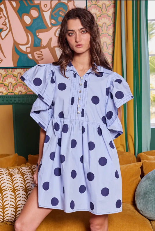 Ruffle Sleeve Polka Dot Dress