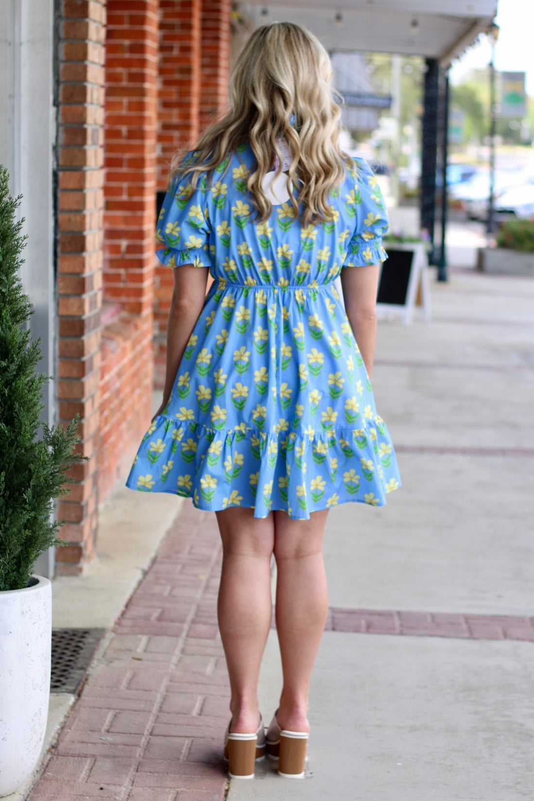 Puff Sleeve Smocked Ruffle Neck Mini Dress