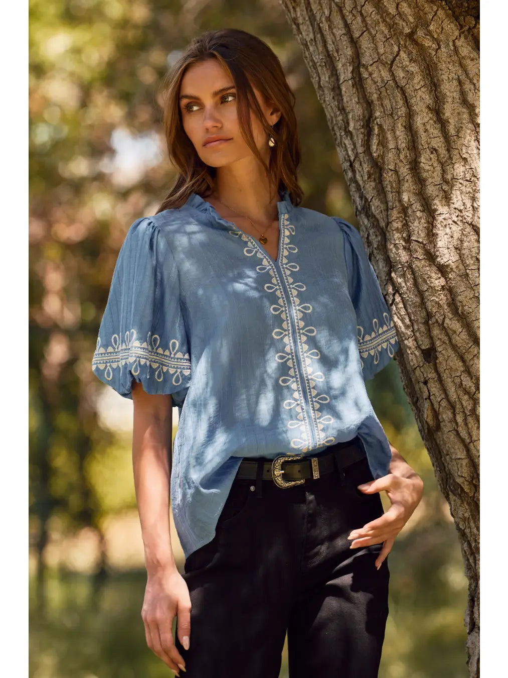 Embroidered Bubble Sleeve Blouse
